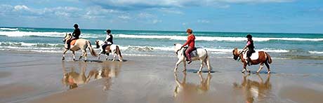 Riders on the beach of Wissant